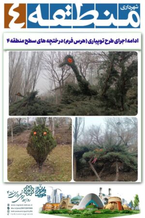 ادامه اجرای طرح توپیاری (هرس فرم) درختچه های سطح منطقه ۴ ادامه اجرای طرح توپیاری (هرس فرم) درختچه های سطح منطقه ۴