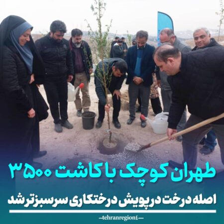 طهران کوچک با کاشت ۳۵۰۰ اصله درخت در پویش درختکاری سرسبزتر شد طهران کوچک با کاشت ۳۵۰۰ اصله درخت در پویش درختکاری سرسبزتر شد