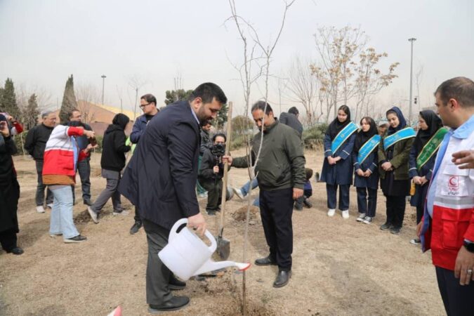 کاشت۲ هزار اصله نهال در بوستان بزرگ ولایت گامی به سوی تهران سبزتر کاشت۲ هزار اصله نهال در بوستان بزرگ ولایت گامی به سوی تهران سبزتر