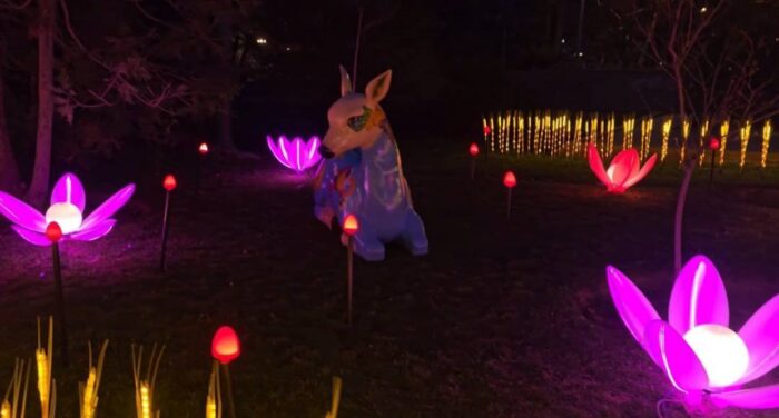 اجرای پارک نوری در بوستان نیاوران؛ جاذبهای جدید برای گردشگران نوروزی اجرای پارک نوری در بوستان نیاوران؛ جاذبهای جدید برای گردشگران نوروزی