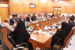 در نشست خبری مدیرعامل مطرح شد: حضور سرمایه‌گذاران جدید و آرامش در منطقه، نشانه ثبات و امنیت ماکو