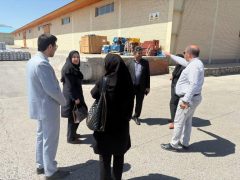 تأکید بر هوشمندسازی فرآیندهای لجستیکی در بازدید میدانی مشاورین مدیرعامل سازمان منطقه آزاد ماکو