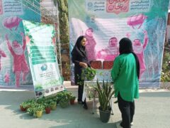 جشنواره «دختران ریحان» در بوستان بانوان منطقه ۲۰ برگزار شد