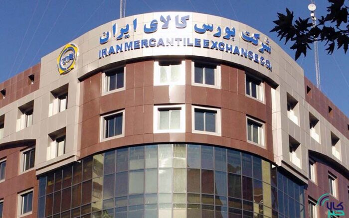 ۲۳۸ هزار تن محصول به دست خریداران رسید