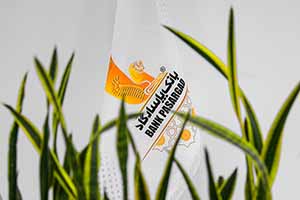 تداوم عملکرد موفق بانک پاسارگاد در حمایت از خانواده؛ تحقق ۹۵درصدی سهمیه تسهیلات ازدواج تا پایان آبان‌ماه۱۴۰۴