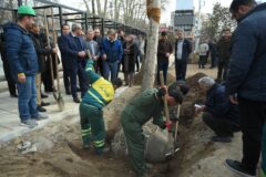 ۱۳ اصله درخت دیگر به فضای سبز میدان تجریش اضافه شد