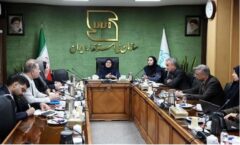 آغاز اجرای اجباری ۱۲۲ استاندارد ایمنی جدید برای خودروها / کاهش ۱۰ درصدی تصادفات در دستور کار دولت