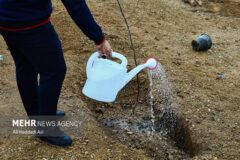 تهرانی‌ها به یاد رهبر شهیدشان در چیتگر درخت کاشتند