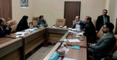 نقطه عطف همکاری بیمه دی و بانک دی؛ صدور ۳۸۰۰ بیمه‌نامه برای کارکنان بانک دی