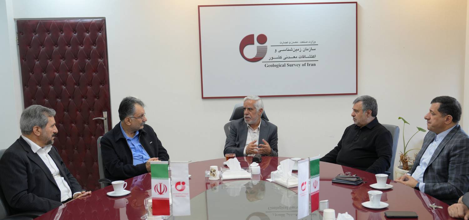 دیدار نمایندگان مجلس شورای اسلامی با معاون وزیر صمت و رئیس سازمان زمین‌شناسی و اکتشافات معدنی