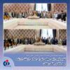 تقدیر نایب‌رئیس مجلس شورای اسلامی از نقش ارزنده بیمه دانا در جنگ رمضان
