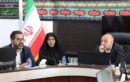 با همکاری دستگاه‌های اجرایی، شماره‌گذاری خودروهای منطقه آزاد ماکو از سر گرفته می‌شود