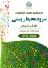 جشنواره سرود محیط‌زیستی گامی مؤثر در فرهنگ‌سازی میان نسل نوجوان بود