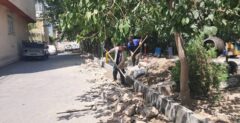 بهسازی زیرساخت‌های شهری در منطقه ۱۴؛ تمرکز بر ارتقای کیفیت خدمات