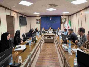 تاکید بر تسهیل ارائه خدمات درمانی به ایثارگران در نشست مشترک بیمه دی و بنیاد شهید استان زنجان